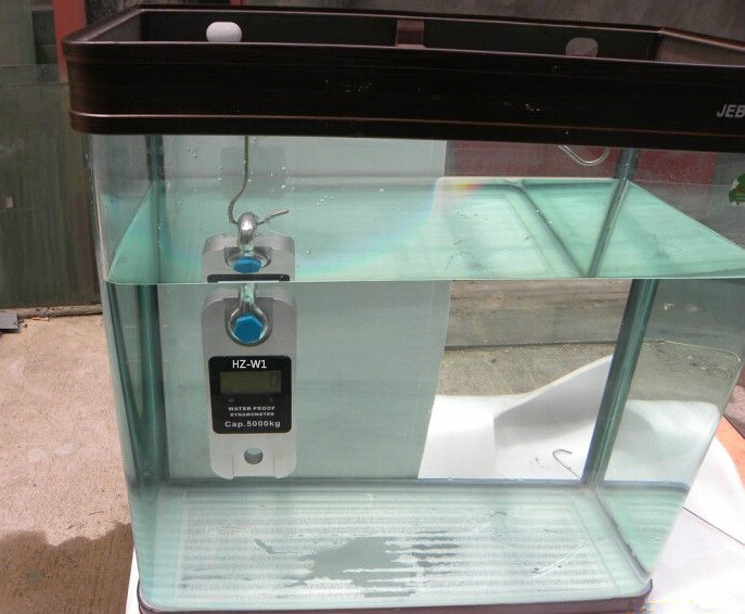 船用100噸測(cè)力計(jì):防水/抗干擾?