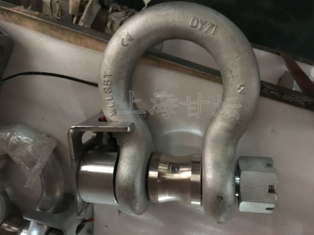 高強(qiáng)度?卸扣測(cè)力儀器?HZ-WD-100T? 無(wú)線手持儀表?