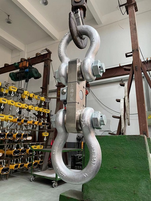 工業(yè)電子測(cè)力計(jì)